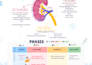 create simplified nursing study notes for any nursing topic